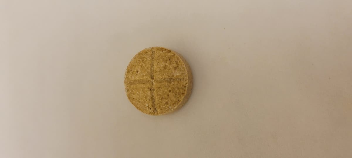 Speciociliatine Tabs β Mint